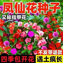 ��ɫ�P�ɻ��N�Ӷ�ɫ��Ⱦָ�׻��N���߲�С�P���ļ�ͥԺ���Ի��N��