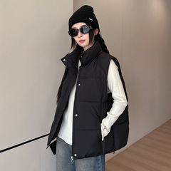 外穿立领羽绒棉马甲女秋冬季2025年新款坎肩背心外套马夹上衣女装