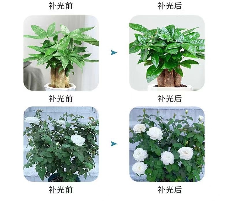 56da2e34-3a5a-4c6f-85c3-a504200440b3.jpe