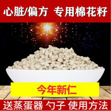 ƫ޻ ޻ ޻N ޻ѷN ޻у  ޻K