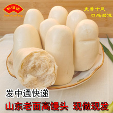 中通山东菏泽鄄城小麦粉老面千层高庄馒头戗面高馍馍主食特产速食