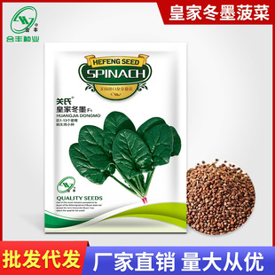 �ʼҶ�ī���˷N��40�� �ﶬ���߲˷N�Ѵ��~�����ѷN���S�N�I���l