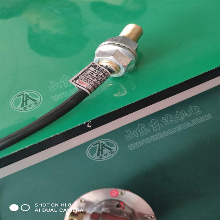 GUC15矿用本安型位置传感器99 (2)