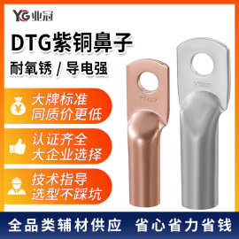 国标紫铜DTG管压式铜鼻子10-300mm 镀锡接线端子紫铜线耳鼻子