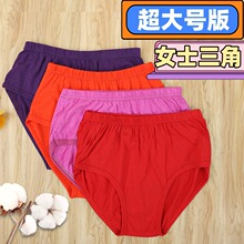 �ӷʼӴ��������Ůʿ���ǃ�ѝ�������ɶ�ѝ��ȫ��Ůʿ�����ǃ�ѝ