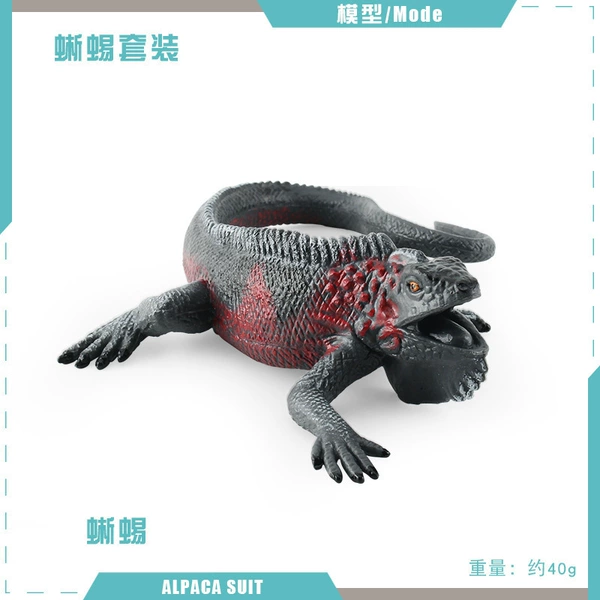 PL127-2619 Lizard 40g