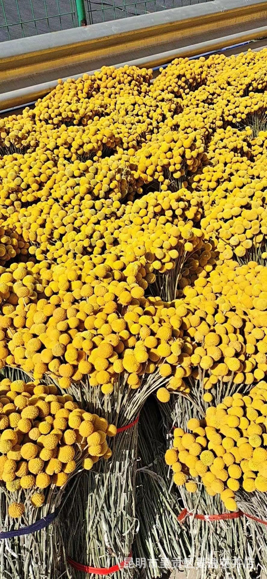 73067b05ecc52ab67f6e3bb898fe15