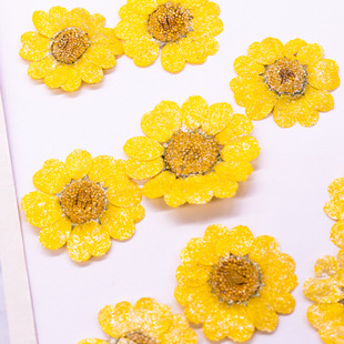 �Sˮ��Ⱦɫ �ɻ�����diy����Ѻ�����ƹ��L�����N��ֲ��˺��˱�