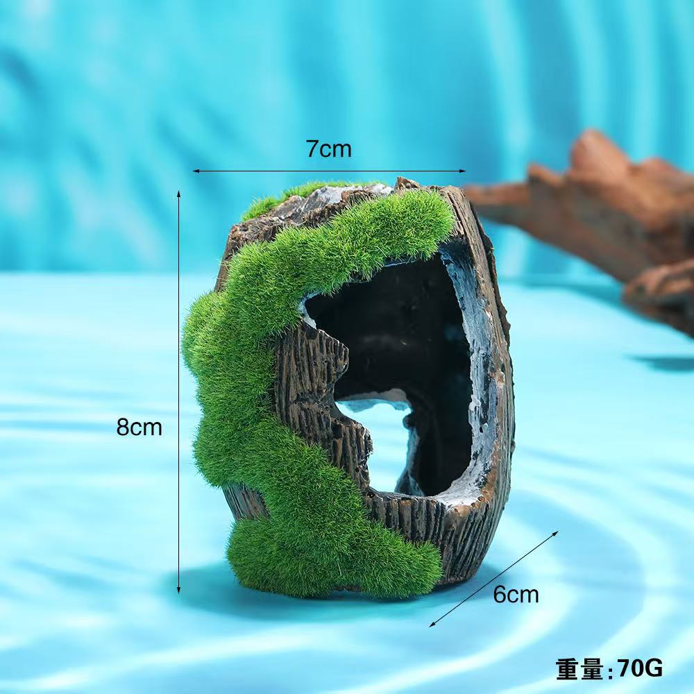 이끼가 있는 작은 통