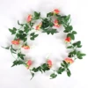 10 small orange pink rose vine