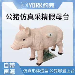 牛世界精猪　 公豬種圖片- 海量高清公豬種圖片大全- 阿里巴巴