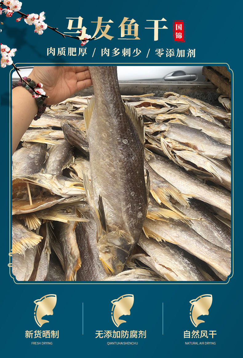 整条马友鱼_01.jpg