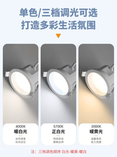 Rea Lighting LED Downlight Recessed Ceiling Light Indoor Pendant Flush Mount Torpedo Light Corridor Spot Light Home Use Downlight