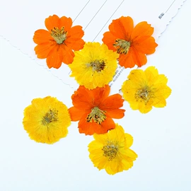 干花;鲜花花艺制品