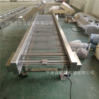 非标定制不锈钢链轴输送机大枣分拣生产流水线动力滚筒输送设备