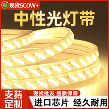 ��������led��220V�����ˮ320�����Ź������������׹ⳬ�����l