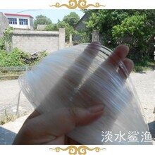 ��Ҏ����x�������νz���C�zɢ�b�W�z�O�W�O���^�~������W���W