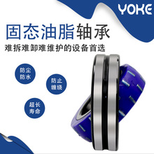 ̑BS {ĝLS SoLS ߜܑBS