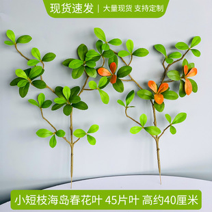 �S�Ҷ��Ʒ��溣�u�������~�͏d����չ�dܛ�b�~�����P�[������ֲ��