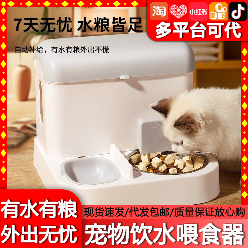 고양이 그릇, 개와 고양이 식수대, 투인원 대용량 자동 먹이 및 식수대, 가정용 애완동물 용품