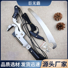 ؛Դ������֦���^�ޟo����s���L��֦����s��݆��֦��֦���߿ռ�