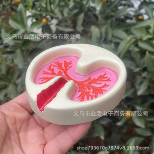 �羳ashtray a pink lung���Ԅ����֬���Ҹה[����ɫ���b�AZ