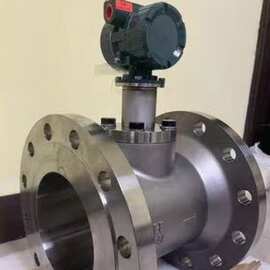 横河YOKOWAYA数字式涡街流量计DY250-NALBJ1-0N口径  DN250口径