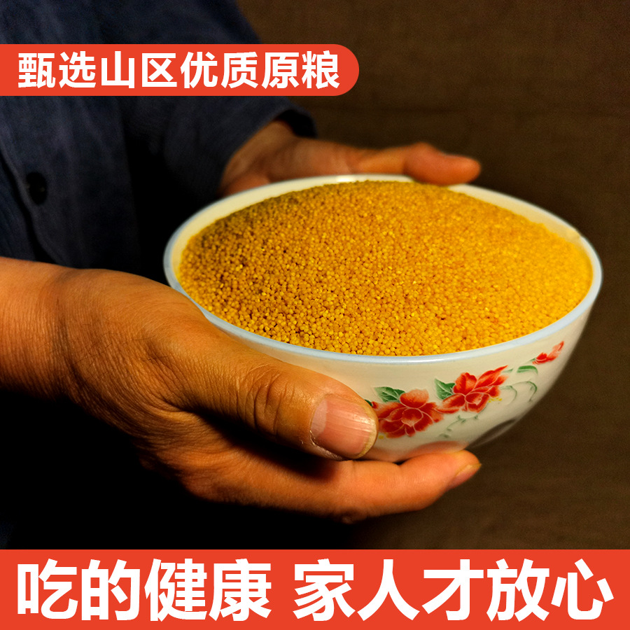 优质农家自种金斗梁黄小米石碾新米陕北特产养胃五谷杂粮孕妇宝宝