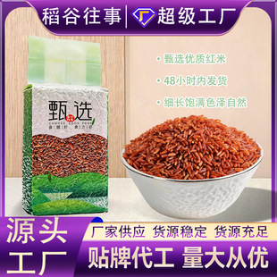 �t��500����հ��b�|����������s�Z�����ּZ��� �t���׏S�����l