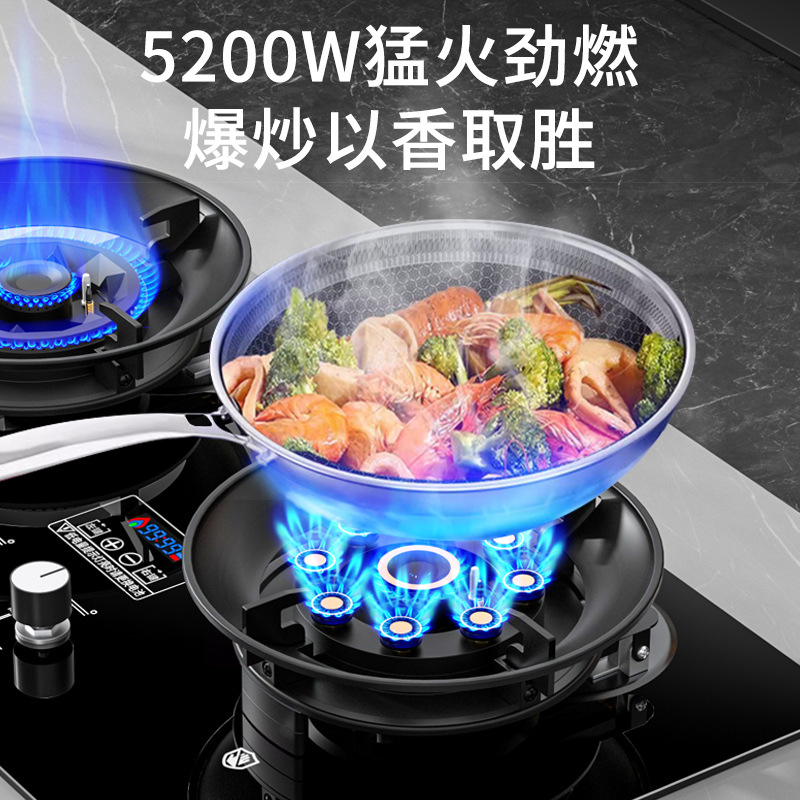 Rong Shida al por mayor doble estufas de gas estufas domésticas de gas natural gas licuado red rojo mágico estufas