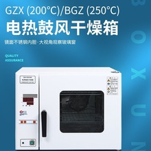 上海博迅BGZ-306型电热鼓风干燥箱烘箱