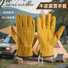 ¶IţƤĥgƤ񿳲Ұʳ