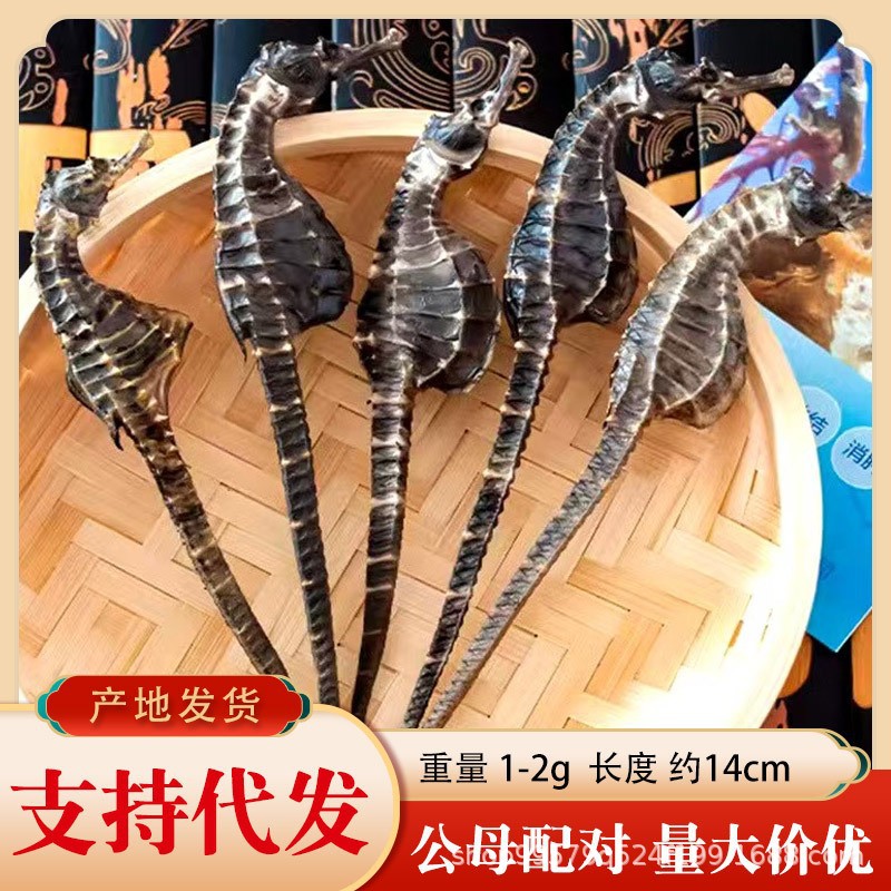 海马养殖源头工厂/温和调养/滋补煲汤泡酒养生/一公一母2尾1.5g