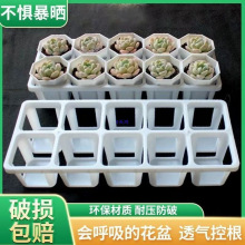 ¿MбPɫ10м7Ӹ̨˽ƴPһw