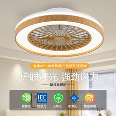 中世スタイルのシーリングファンライトレトロ B&B 書斎オフィスツーインワンスマートライト OEM 手頃な価格の卸売 ODM