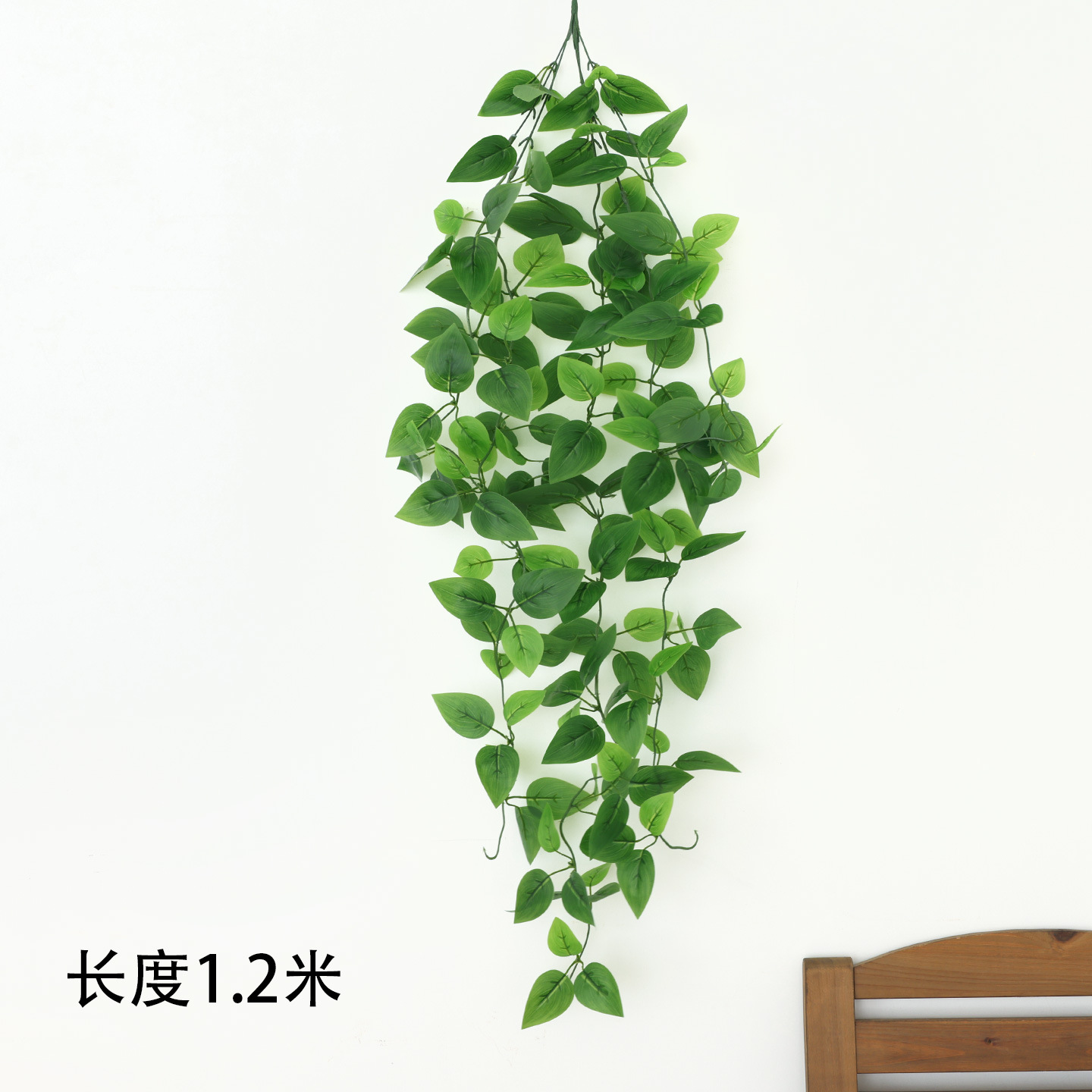 5 plantes araignées fourchues et collées et 1 botte de radis vert.
