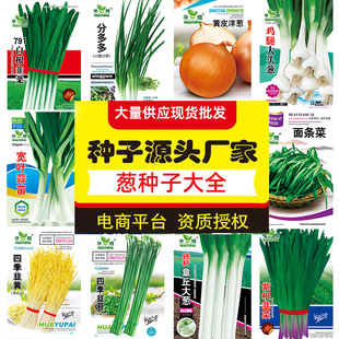 �N���ϸ����[�²˾��S���~���~������[�����ļ��߲˴�ȫһ�����l