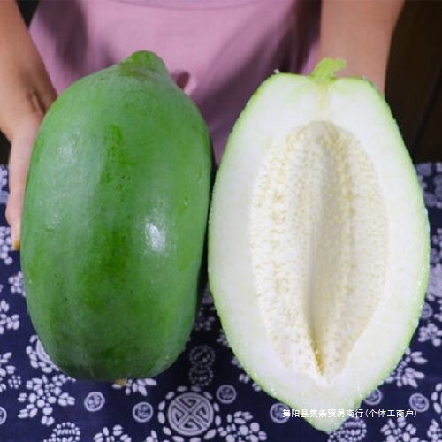 Freshly Picked Young Green Papaya from Guangxi, Pickled Papaya for Salad, Stew, or Soup, Raw Papaya/Half a Pound