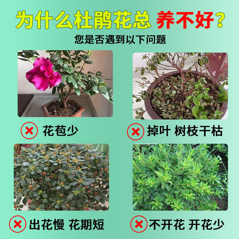 鉢植えのポトスとツツジ用の万能化学肥料、葉の乾燥と黄ばみを促進し、希釈せずに成長を促進する特別な栄養液|undefined