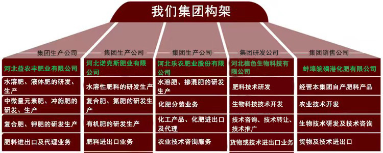 13详情集团构架