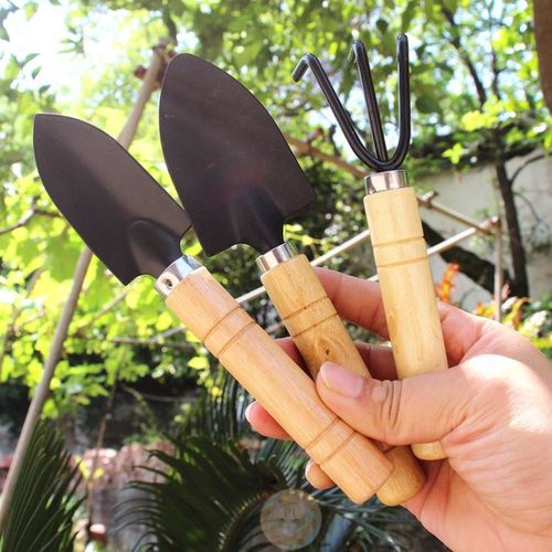 家用园艺工具三件套养花多肉植物种花盆栽种植松土铁锹小铲子套装