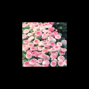 ҊͻNСrջNļ_̨ԷN