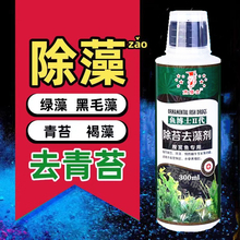 ~׳儩ȥ̦G̦ȥGˮz岻~