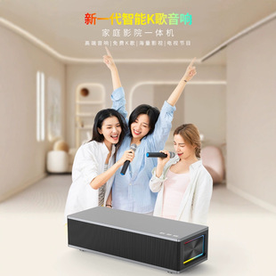 Live Sound Card All-In-One Home Audio and Video Singing Outdoor Singing Smart Audio and Video Karaoke Machine Subwoofer