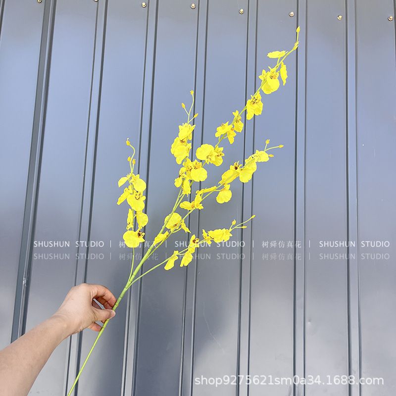 다섯 포크 춤 난초