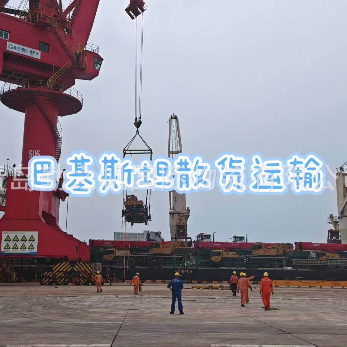 青岛 天津到巴基斯坦KARACHI卡拉奇散货集装箱船运货物运输代理