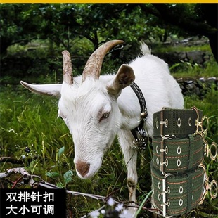 ˨�������Ȧ���������Ȧ���K���Bֳ�O��Ӻ�˩��Ĳ���