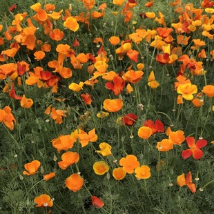 ����ݷN�����������N�Ӵ����_���������N����ͥԺ�����̨����