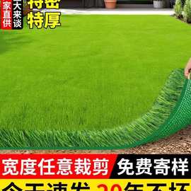 草坪人造草坪铺垫人工假草坪地毯塑料草皮地垫户外幼儿园