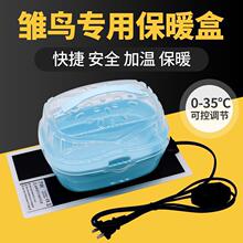 鹉保温箱风暖孵化箱手养幼鸟育雏蝈蝈鸣虫守宫迷你便携式恒温箱